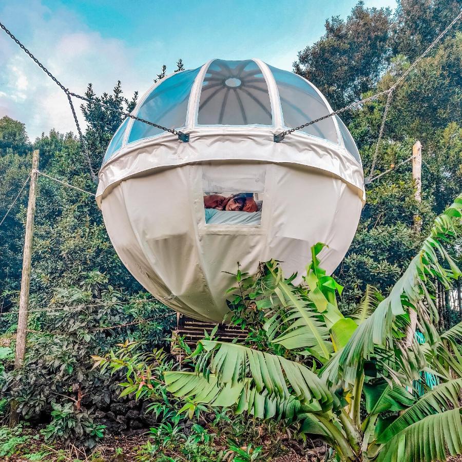 Quinta Do Abacate - Glamping Park Villa Angra do Heroismo Luaran gambar